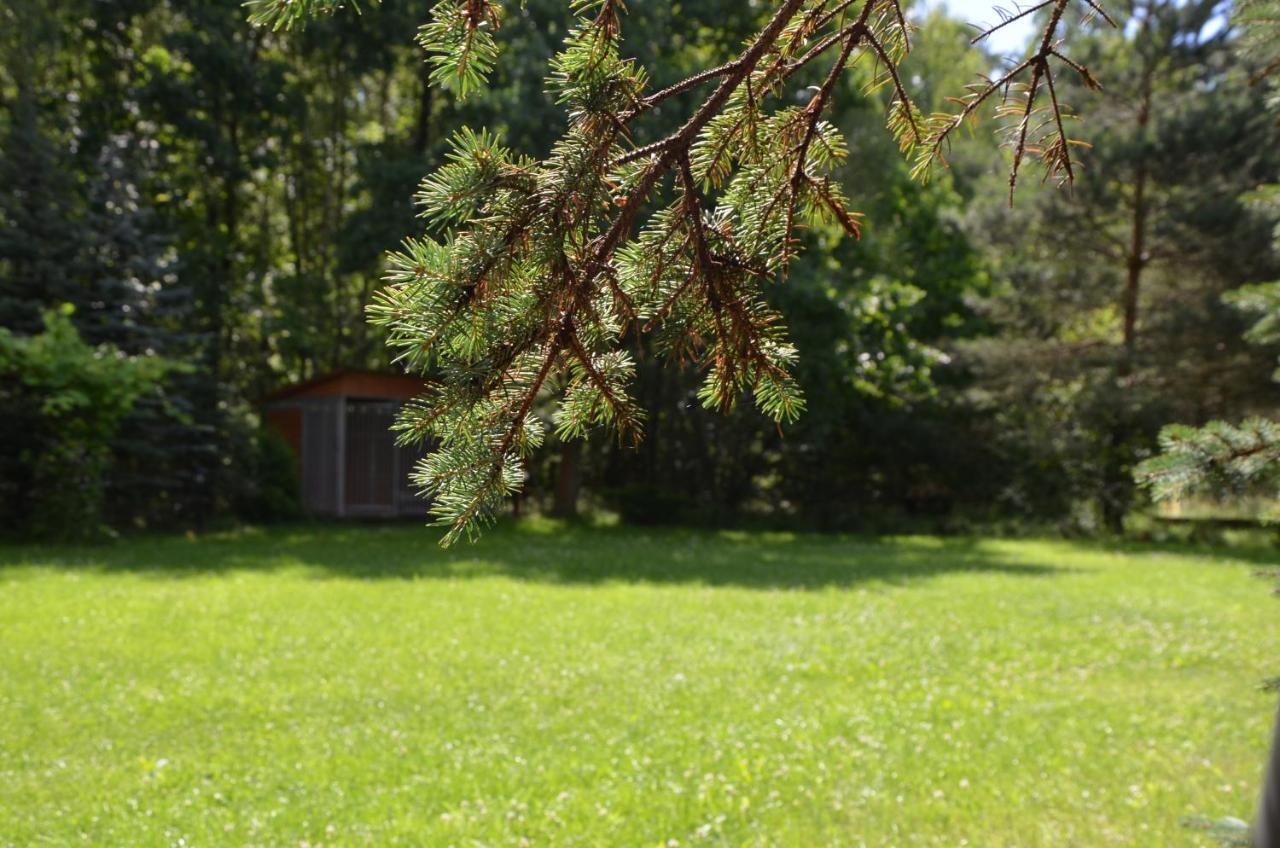 Agroturystyka Czekaj Przy Suntago Lublinow Esterno foto