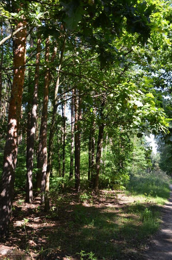 Agroturystyka Czekaj Przy Suntago Lublinow Esterno foto